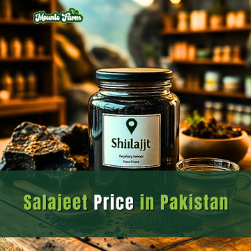 Salajeet Price in Pakistan – A Complete Guide for Buyers & Business Owners
