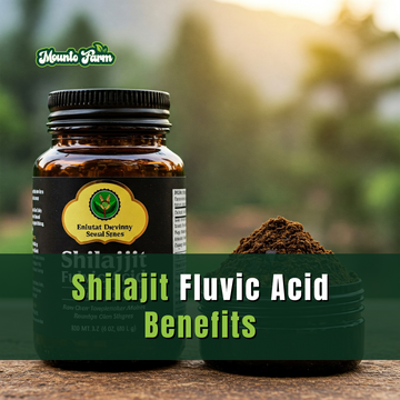 Shilajit Fulvic Acid Benefits: A Deep Dive into Nature’s Potent Elixir