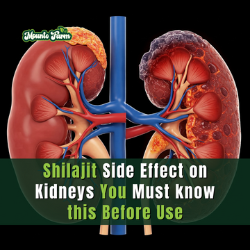 Shilajit Side Effects on Kidneys: What You Need to Know Before You Use It