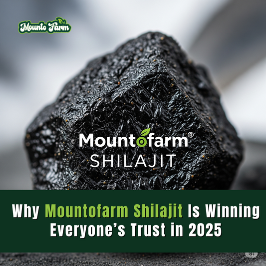 Why Mountofarm Shilajit Is Winning Everyone’s Trust in 2025