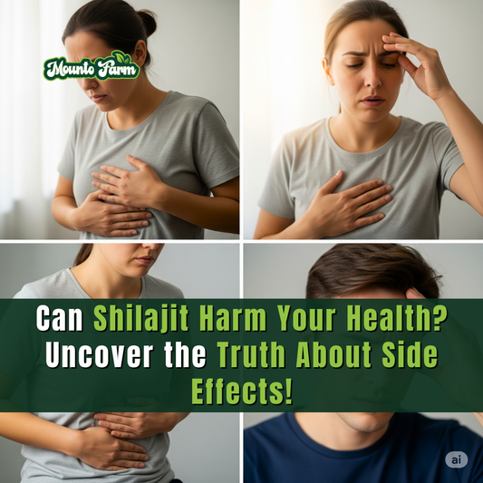 Can Shilajit Harm Your Health? Uncover the Truth About Side Effects!