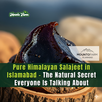 Pure Himalayan Salajeet in Islamabad – The Natural Secret Everyone Is Talking About