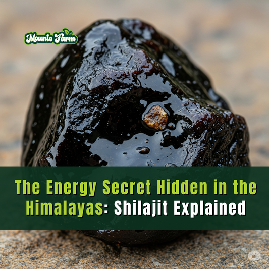 The Energy Secret Hidden in the Himalayas: Shilajit Explained - Mountofarm Shilajit