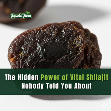 The Hidden Power of Vital Shilajit Nobody Told You About