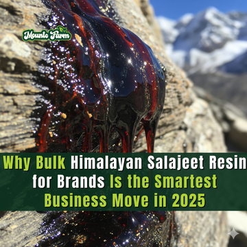 Why Bulk Himalayan Salajeet Resin for Brands Is the Smartest Business Move in 2025