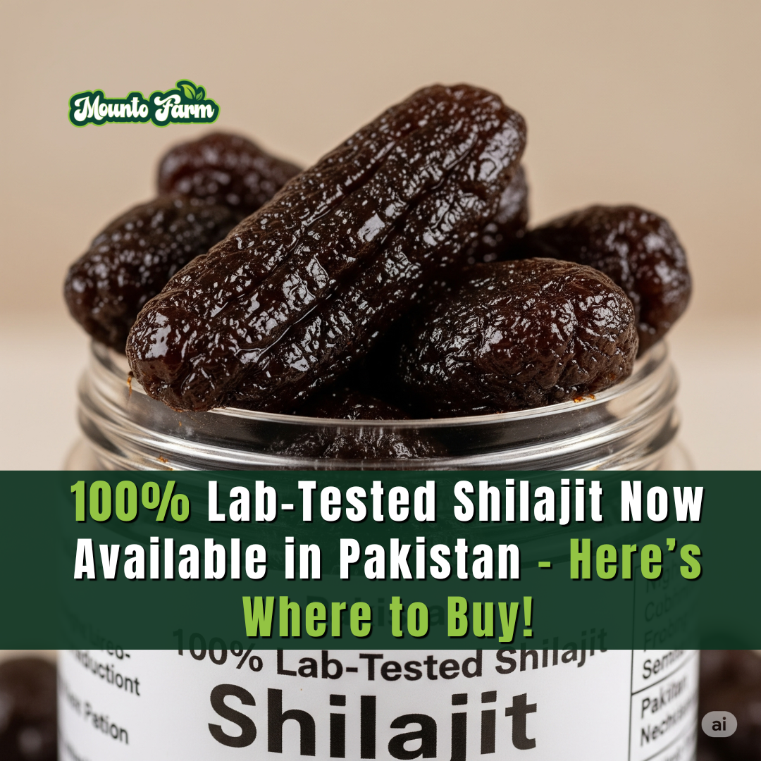  100% Lab-Tested Shilajit Now Available in Pakistan – Here’s Where to Buy!  Mountofarm Shilajit