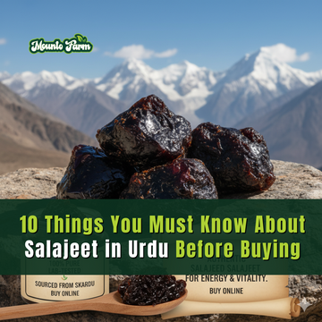 10 Things You Must Know About Salajeet in Urdu Before Buying