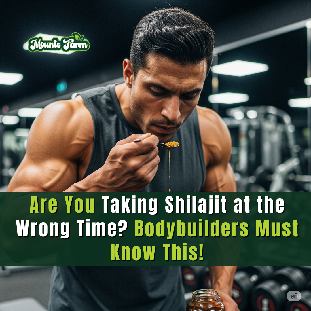 Are You Taking Shilajit at the Wrong Time? Bodybuilders Must Know This! Mountofarm Shilajit