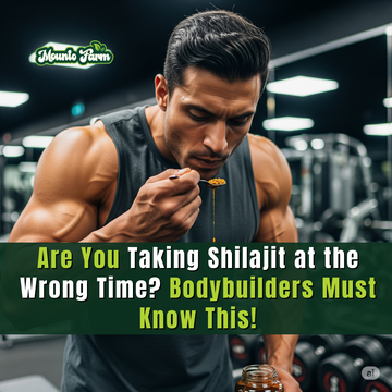 Are You Taking Shilajit at the Wrong Time? Bodybuilders Must Know This! Mountofarm Shilajit