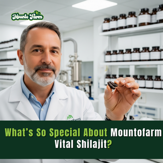 What’s So Special About Mountofarm Vital Shilajit?