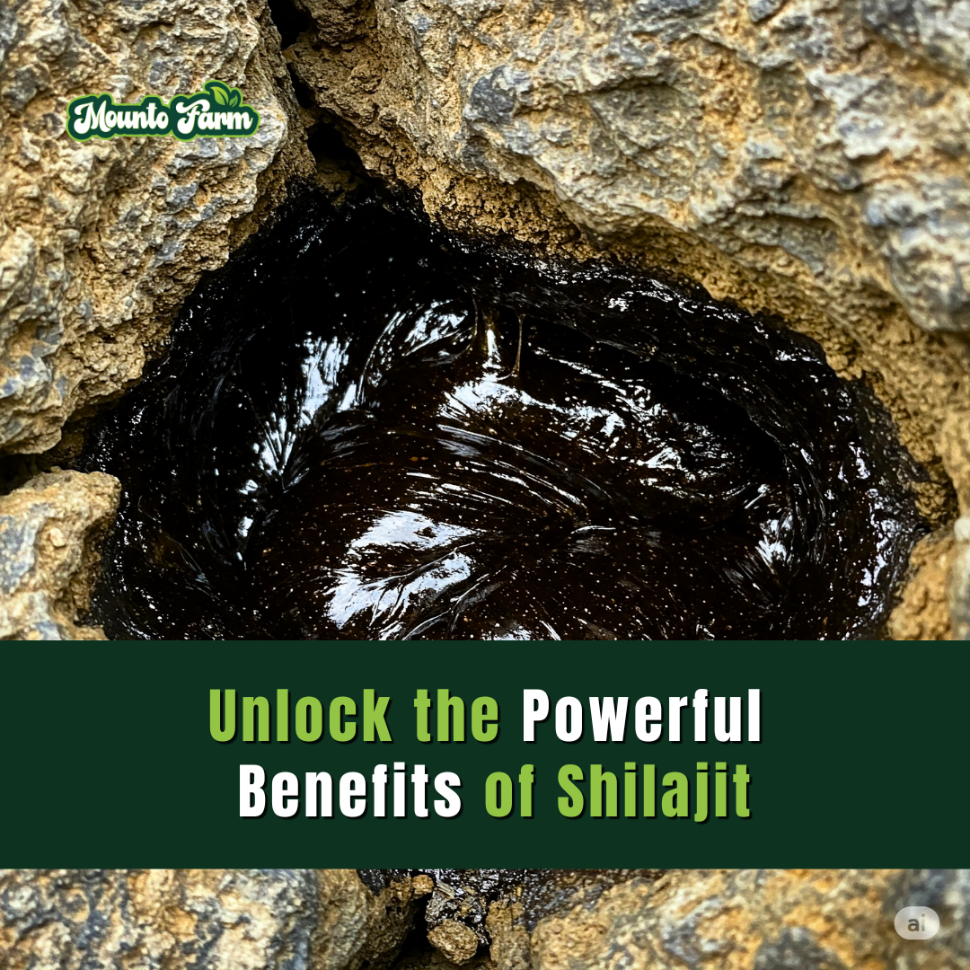 Shilajit Benefits for Male Health REVEALED: Start Your Profitable Wholesale Business Today