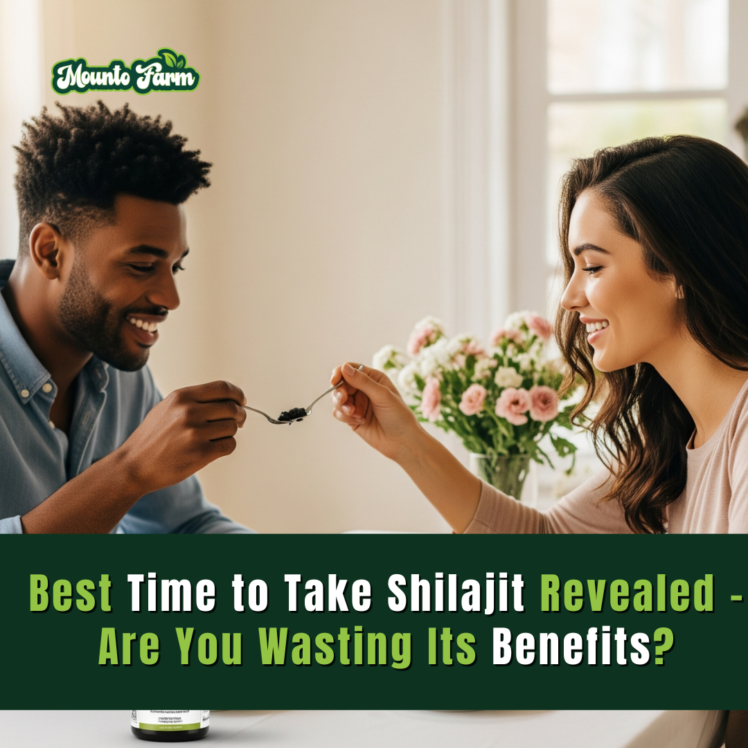 Best Time to Take Shilajit Revealed – Are You Wasting Its Benefits?