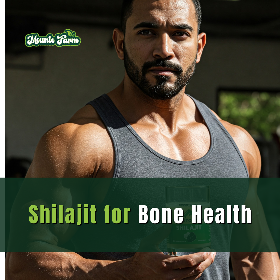 Shilajit for Bone Health: The Ancient Secret to Stronger Bones