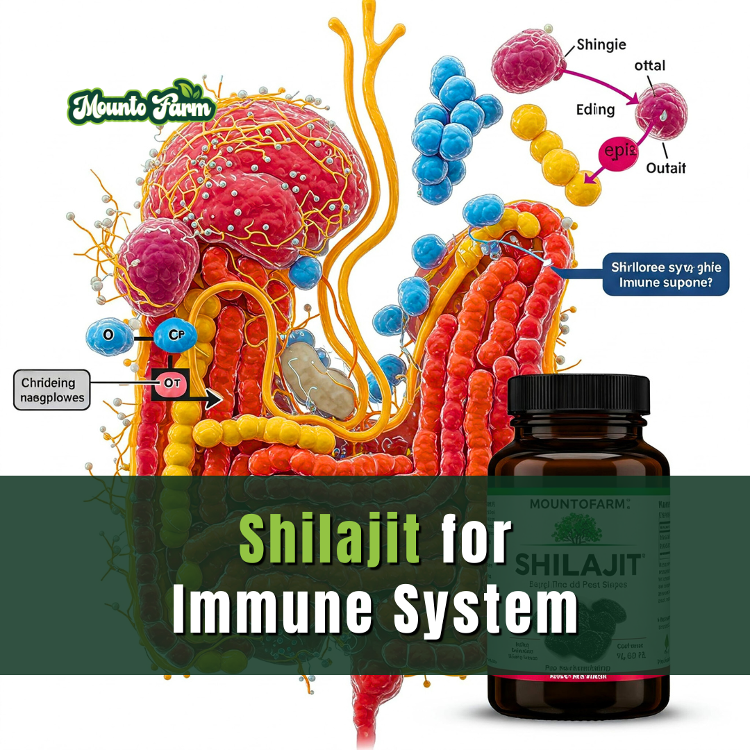 Shilajit for Immune Support: Nature’s Secret to a Stronger Defense