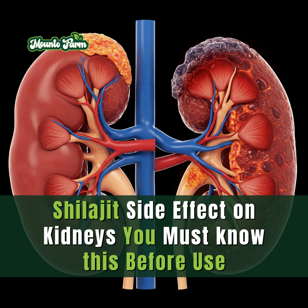 Shilajit Side Effects on Kidneys: What You Need to Know Before You Use It
