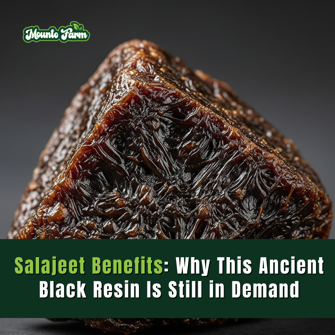 Salajeet Benefits: Why This Ancient Black Resin Is Still in Demand