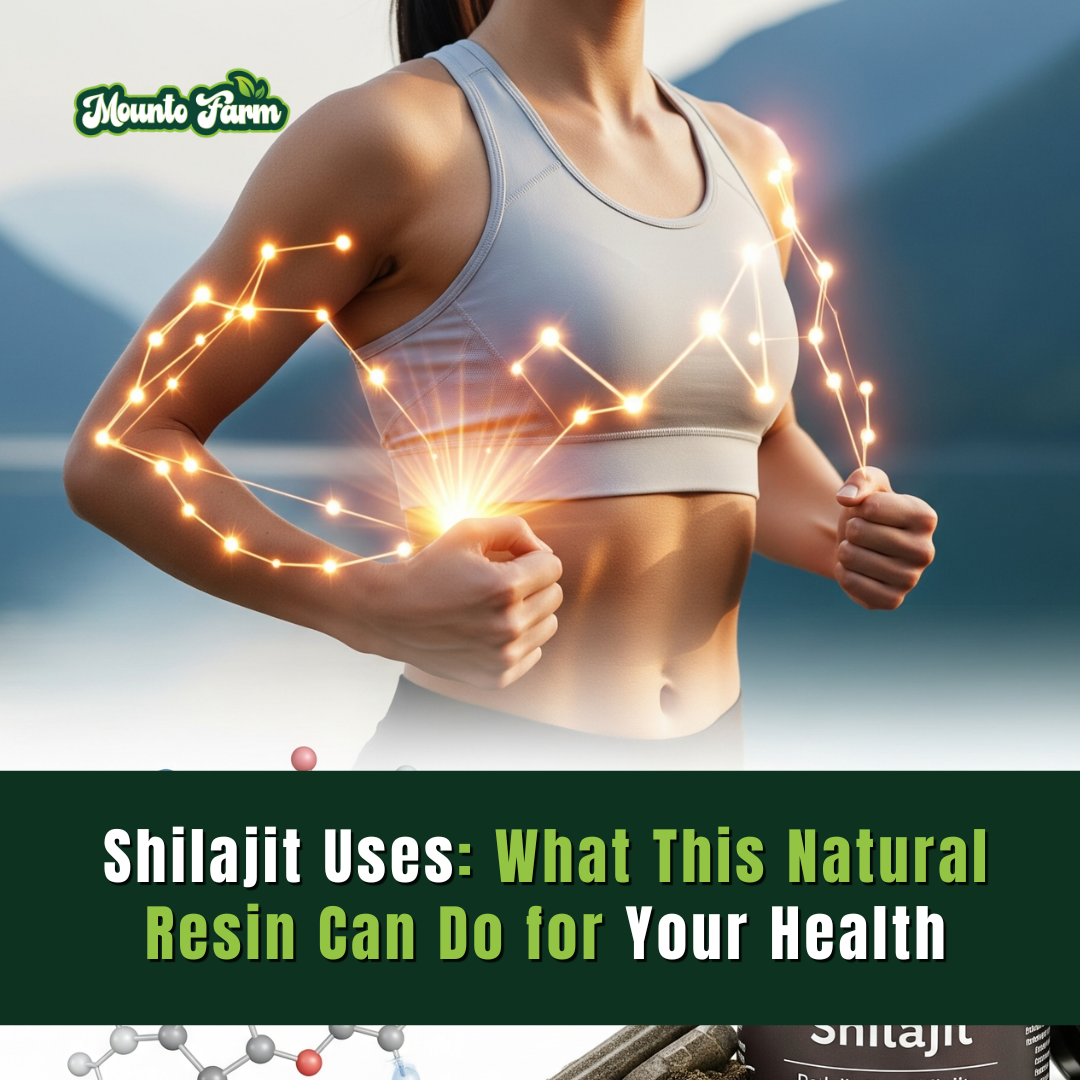 Shilajit Uses: What This Natural Resin Can Do for Your Health
