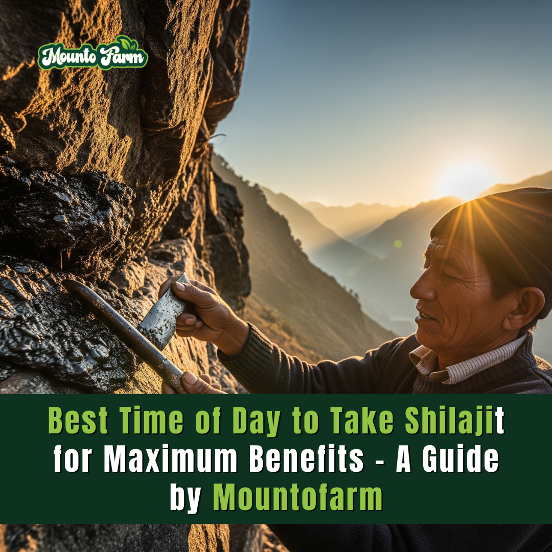 Best Time of Day to Take Shilajit for Maximum Benefits – A Guide by Mountofarm