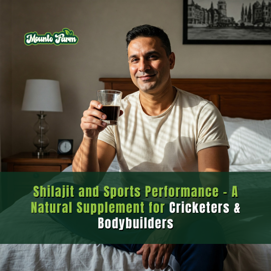 shilajit for cricketers-mountofarm