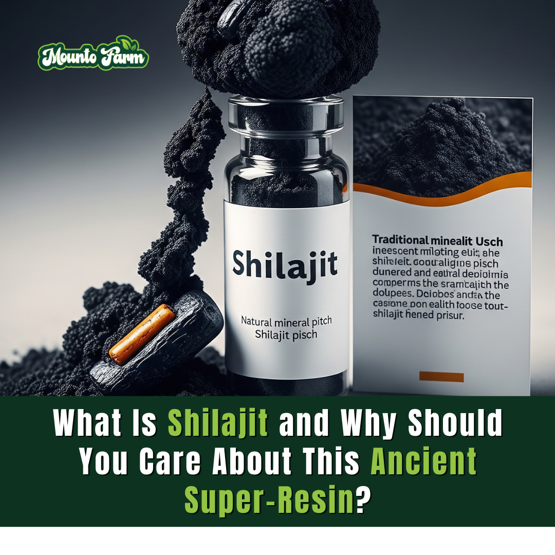 What Is Shilajit and Why Should You Care About This Ancient Super-Resin?