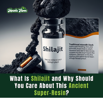 What Is Shilajit and Why Should You Care About This Ancient Super-Resin?