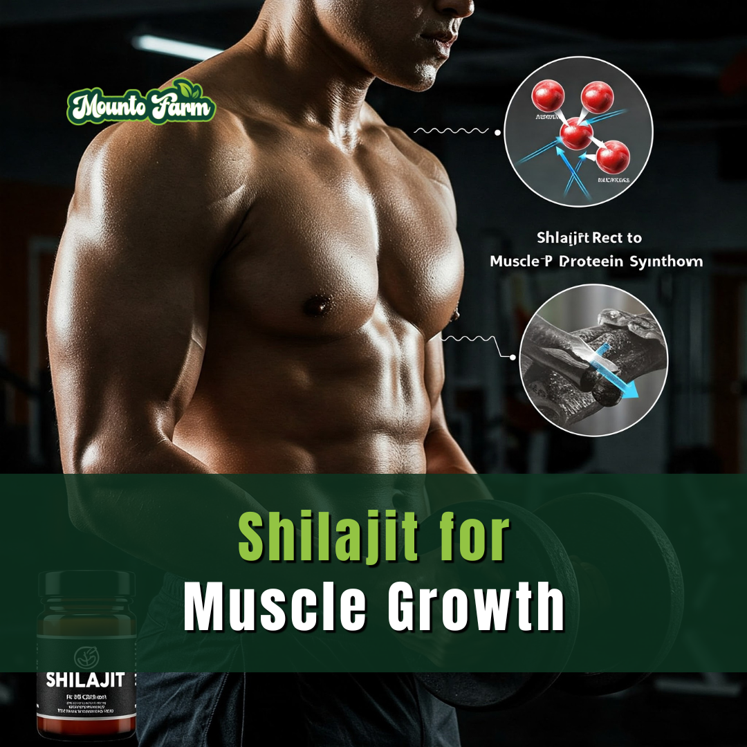 Shilajit Muscle Growth: The Natural Supplement That’s Changing the Game