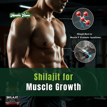 Shilajit Muscle Growth: The Natural Supplement That’s Changing the Game