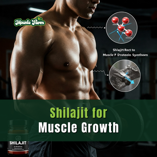 Shilajit Muscle Growth: The Natural Supplement That’s Changing the Game
