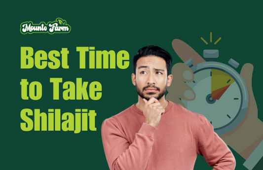 best time to take shilajit