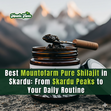 Best Mountofarm Pure Shilajit in Skardu: From Skardu Peaks to Your Daily Routine