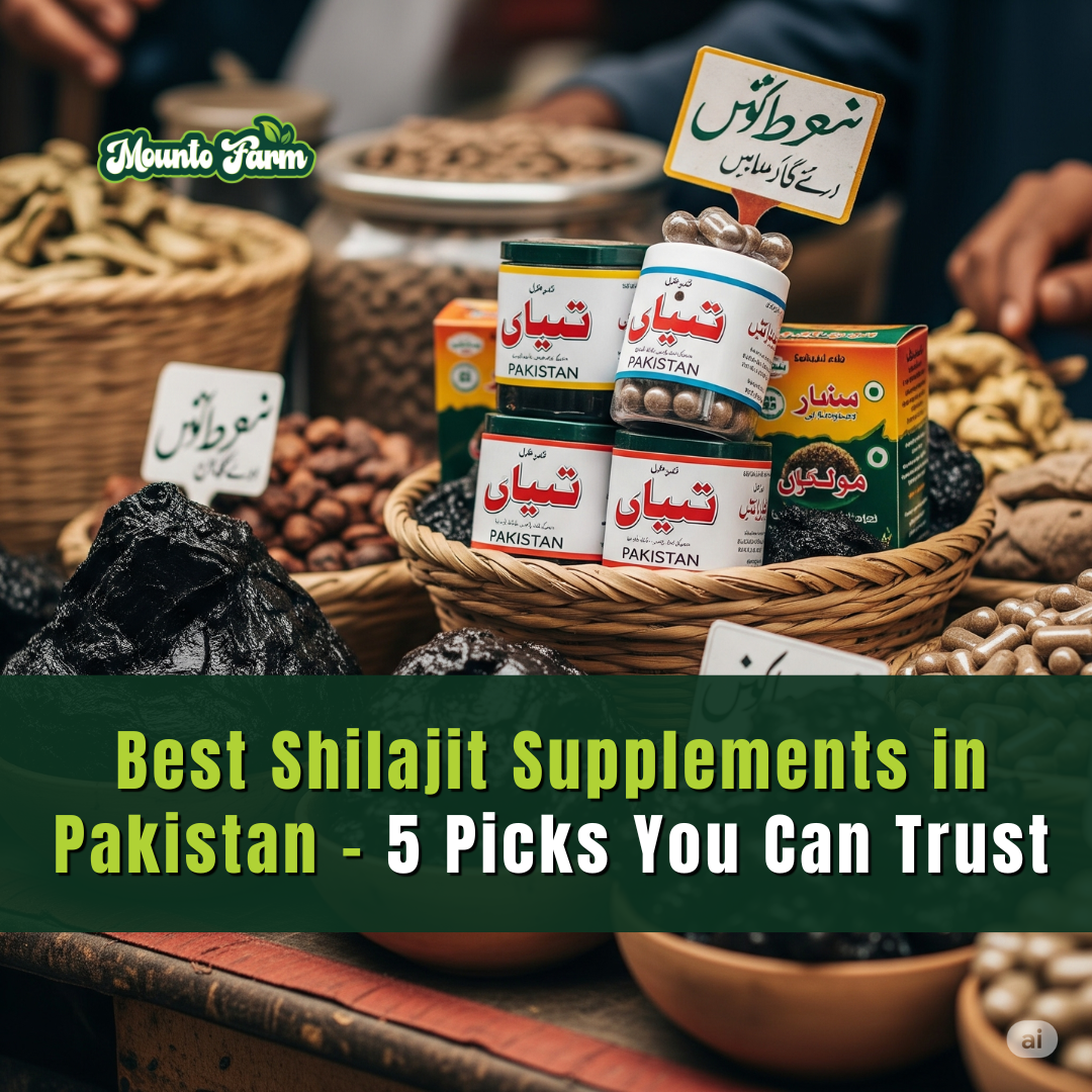 Best Shilajit Supplements in Pakistan – 5 Picks You Can Trust - Mountofarm Vital Shilajit