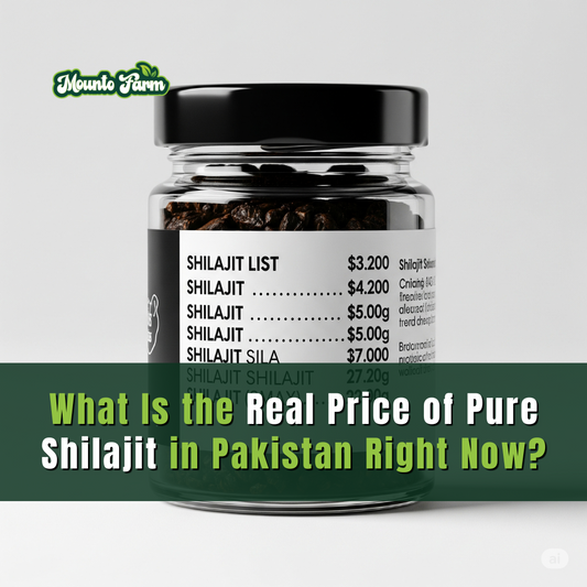 What Is the Real Price of Pure Shilajit in Pakistan Right Now?
