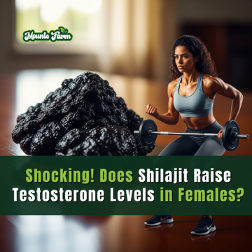 Shocking! Does Shilajit Raise Testosterone Levels in Females?