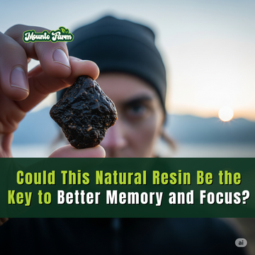 Could This Natural Resin Be the Key to Better Memory and Focus? Mountofarm Vital Shilajit