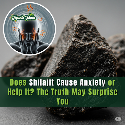 Does Shilajit Cause Anxiety or Help It? The Truth May Surprise You
