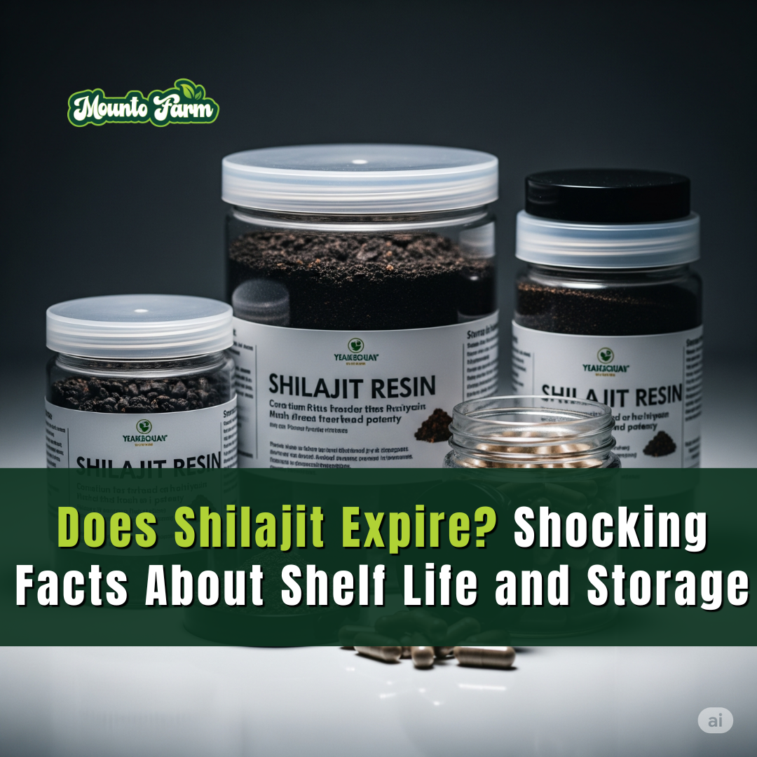Does Shilajit Expire? Shocking Facts About Shelf Life and Storage - Mountofarm Shilajit