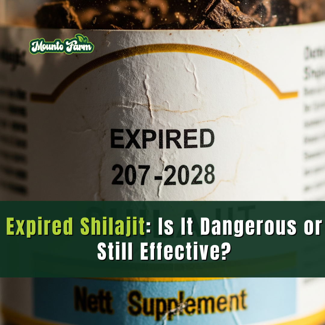 Expired Shilajit: Is It Dangerous or Still Effective? Mountofarm Shilajit