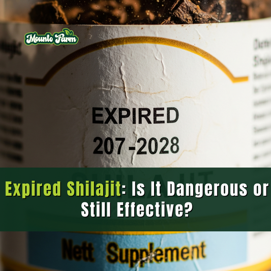 Expired Shilajit: Is It Dangerous or Still Effective? Mountofarm Shilajit