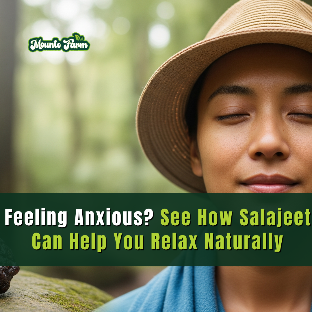 Feeling Anxious? See How Salajeet Can Help You Relax Naturally - Mountofarm Salajeed