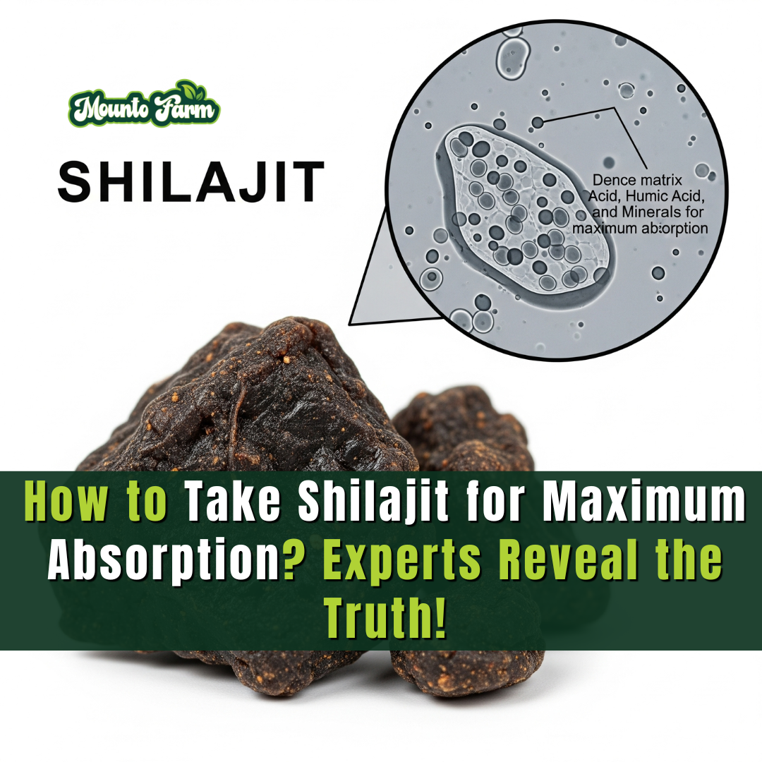 How to Take Shilajit for Maximum Absorption? Experts Reveal the Truth! - Mountofarm Shilajit