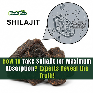 How to Take Shilajit for Maximum Absorption? Experts Reveal the Truth! - Mountofarm Shilajit