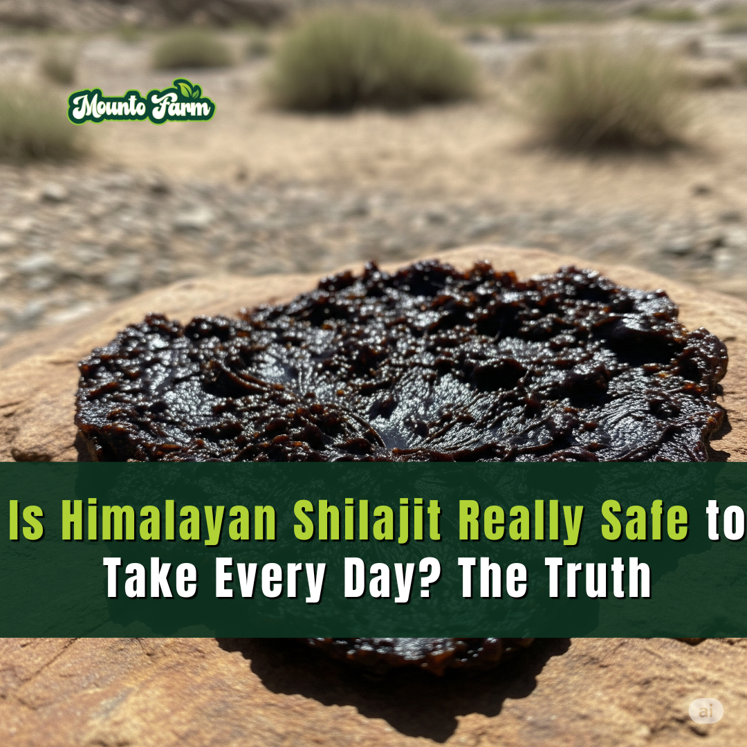 Is Himalayan Shilajit Really Safe to Take Every Day? The Truth - Mountofarm Shilajit