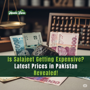 Is Salajeet Getting Expensive? Latest Prices in Pakistan Revealed! Mountofarm Shilajit