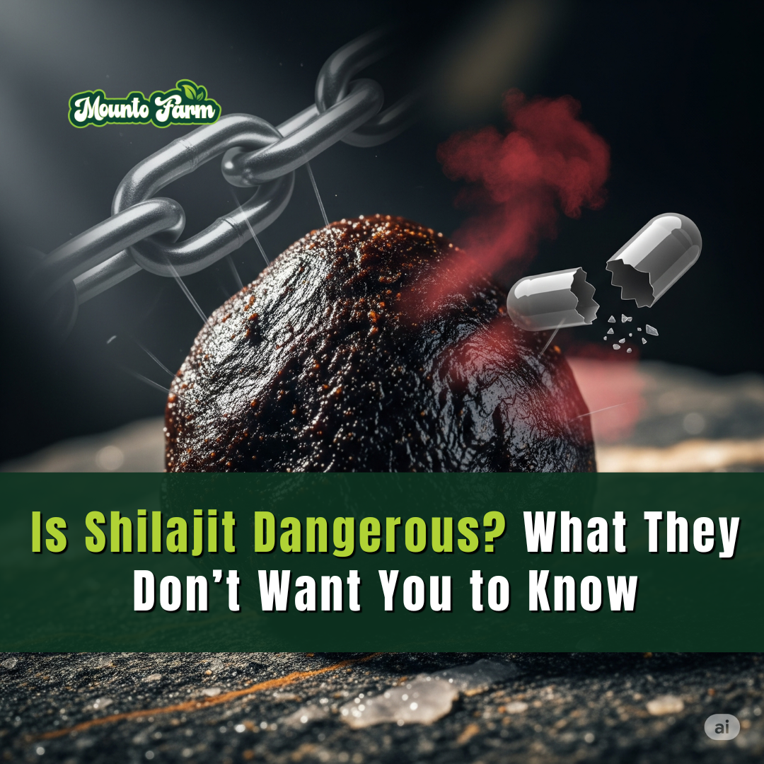Is Shilajit Dangerous? What They Don’t Want You to Know - Mountofarm Vital Shilajit
