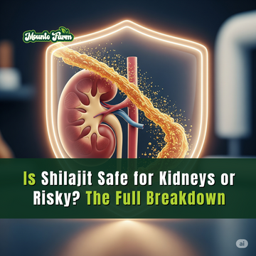 Is Shilajit Safe for Kidneys or Risky? The Full Breakdown