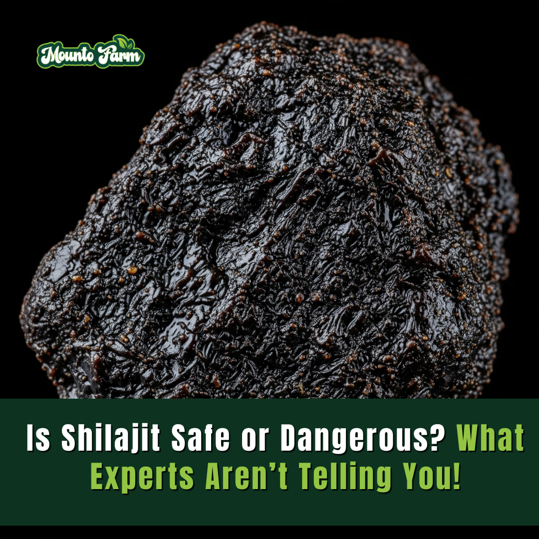 Is Shilajit Safe or Dangerous? What Experts Aren’t Telling You!