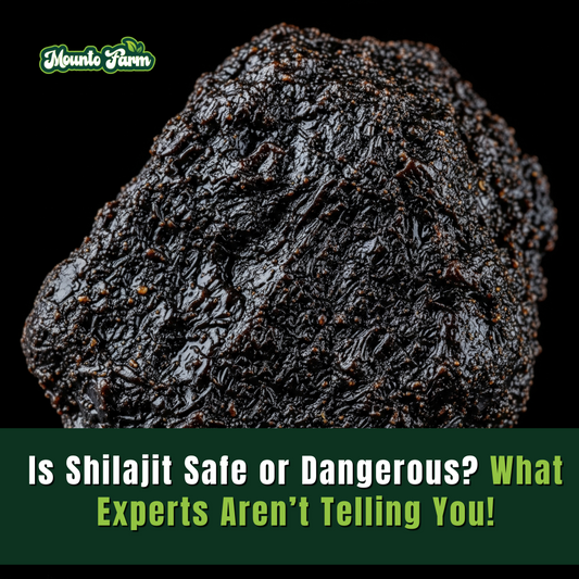 Is Shilajit Safe or Dangerous? What Experts Aren’t Telling You!