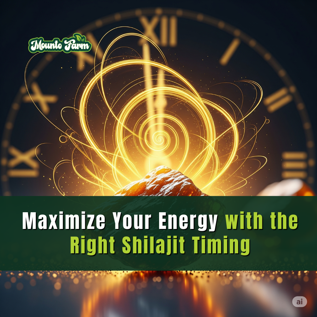 Maximize Your Energy with the Right Shilajit Timing - mountofarm shilajit
