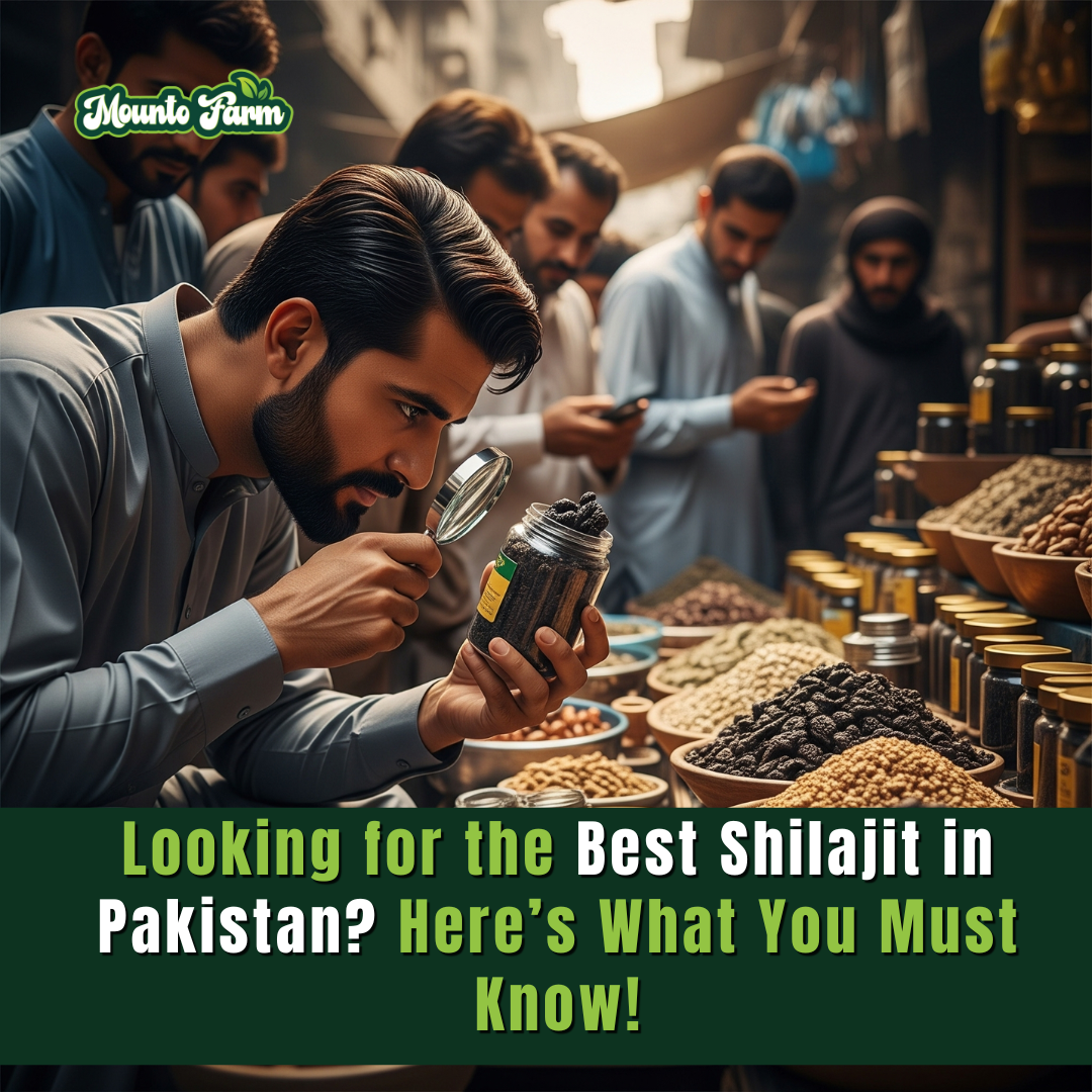 Looking for the Best Shilajit in Pakistan? Here’s What You Must Know!
