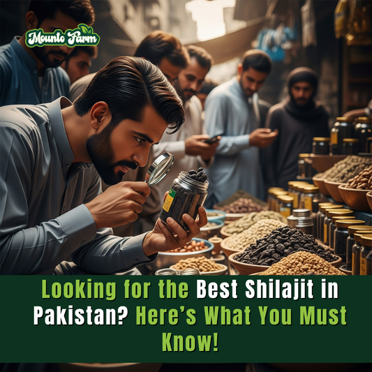 Looking for the Best Shilajit in Pakistan? Here’s What You Must Know!